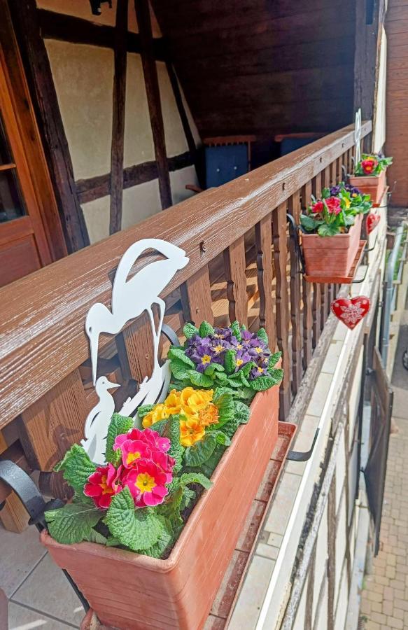 Un Balcon Sur Les Toits Apartment Beblenheim Ngoại thất bức ảnh